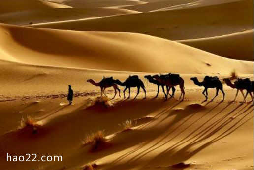 世界上最干旱的沙漠 阿塔卡马沙漠91年零降雨 沙漠的十个世界之最 